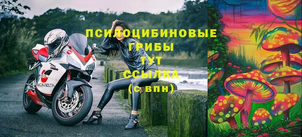амф Бронницы