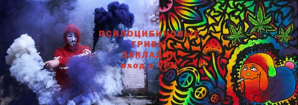 амф Бронницы