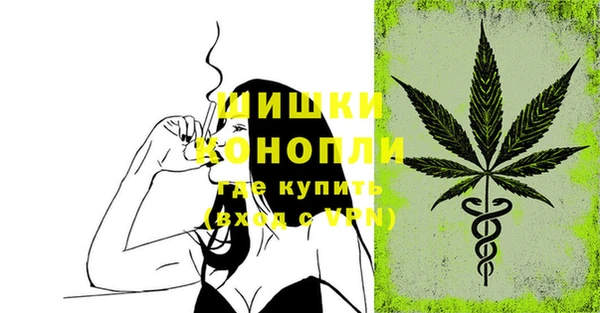 амф Бронницы