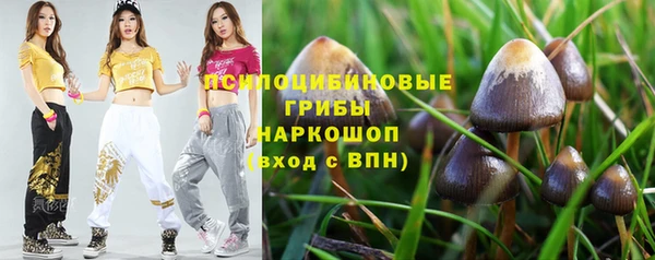 сатива Верея