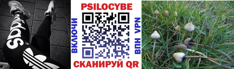 Купить закладки Можайск Галлюциногенные грибы прущие грибы
